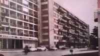 Imagine atasata: 1964.jpg
